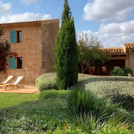 Sitja Ses Salines (Mallorca)